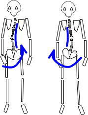 背中のハリ 研究 第１章 藤沢で10年 女性の体に特化した痛みをとる整体 まごのて庵
